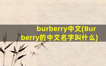 burberry中文(Burberry的中文名字叫什么)