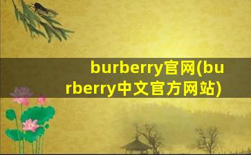 burberry官网(burberry中文官方网站)