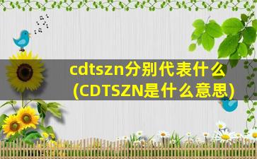 cdtszn分别代表什么(CDTSZN是什么意思)