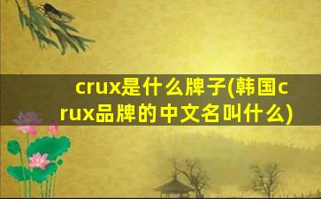 crux是什么牌子(韩国crux品牌的中文名叫什么)