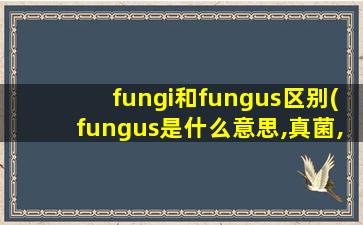 fungi和fungus区别(fungus是什么意思,真菌,霉菌,蕈,海绵肿翻译)