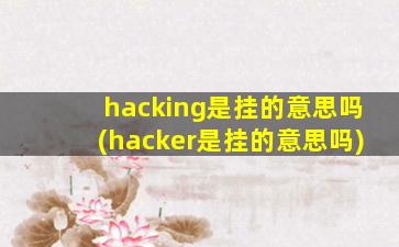 hacking是挂的意思吗(hacker是挂的意思吗)
