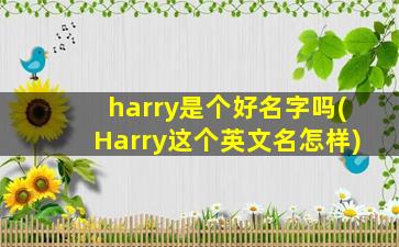 harry是个好名字吗(Harry这个英文名怎样)