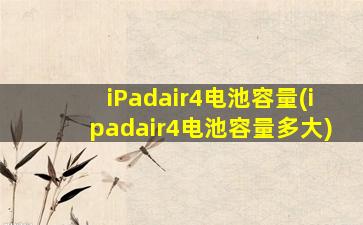 iPadair4电池容量(ipadair4电池容量多大)