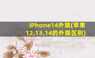 iPhone14外观(苹果12,13,14的外观区别)