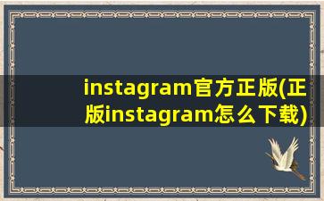 instagram官方正版(正版instagram怎么下载)