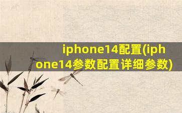 iphone14配置(iphone14参数配置详细参数)