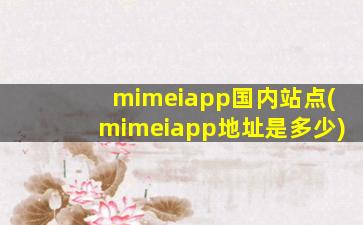 mimeiapp国内站点(mimeiapp地址是多少)