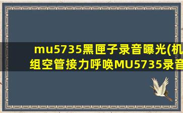 mu5735黑匣子录音曝光(机组空管接力呼唤MU5735录音曝出,找到黑匣子后下一步做什么)