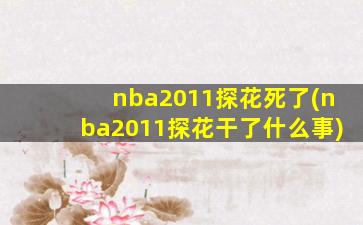 nba2011探花死了(nba2011探花干了什么事)