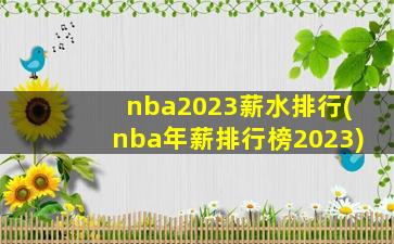 nba2023薪水排行(nba年薪排行榜2023)