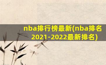 nba排行榜最新(nba排名2021-2022最新排名)