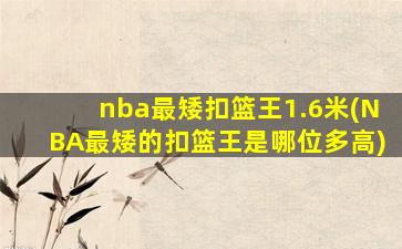 nba最矮扣篮王1.6米(NBA最矮的扣篮王是哪位多高)