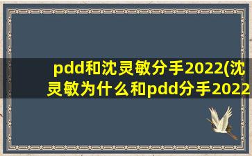 pdd和沈灵敏分手2022(沈灵敏为什么和pdd分手2022)