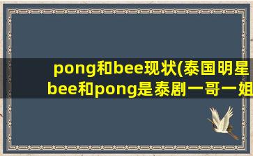 pong和bee现状(泰国明星bee和pong是泰剧一哥一姐么不然谁是)