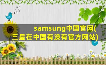 samsung中国官网(三星在中国有没有官方网站)