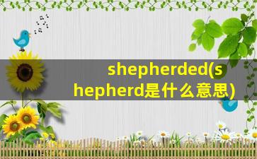 shepherded(shepherd是什么意思)