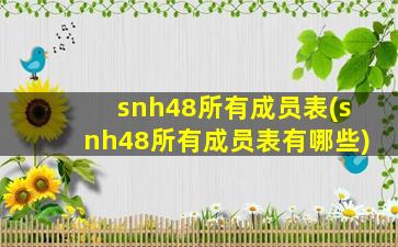 snh48所有成员表(snh48所有成员表有哪些)