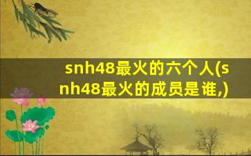 snh48最火的六个人(snh48最火的成员是谁,)