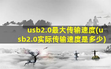 usb2.0最大传输速度(usb2.0实际传输速度是多少)