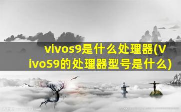 vivos9是什么处理器(VivoS9的处理器型号是什么)