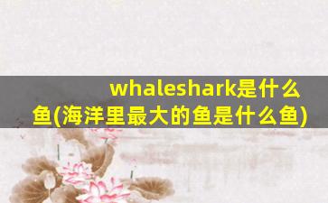 whaleshark是什么鱼(海洋里最大的鱼是什么鱼)