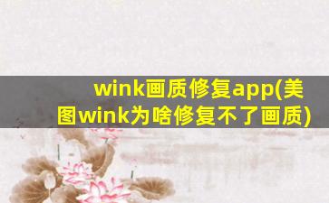wink画质修复app(美图wink为啥修复不了画质)