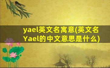 yael英文名寓意(英文名Yael的中文意思是什么)