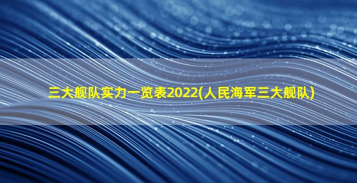 三大舰队实力一览表2022(人民海军三大舰队)