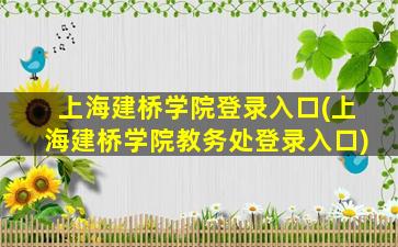 上海建桥学院登录入口(上海建桥学院教务处登录入口)
