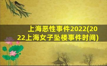 上海恶性事件2022(2022上海女子坠楼事件时间)
