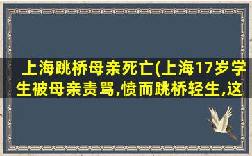 上海跳桥母亲死亡(上海17岁学生被母亲责骂,愤而跳桥轻生,这场惨剧是谁的错)