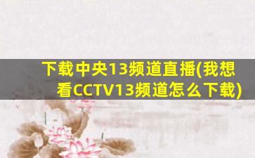 下载中央13频道直播(我想看CCTV13频道怎么下载)