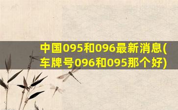 中国095和096最新消息(车牌号096和095那个好)