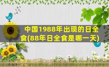 中国1988年出现的日全食(88年日全食是哪一天)