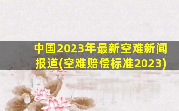 中国2023年最新空难新闻报道(空难赔偿标准2023)
