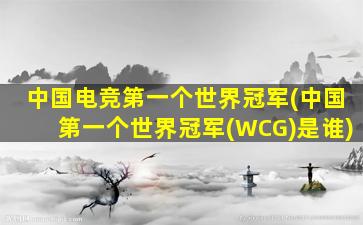 中国电竞第一个世界冠军(中国第一个世界冠军(WCG)是谁)